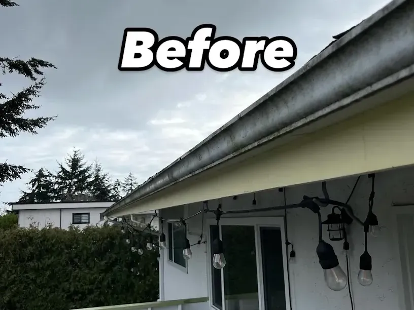 Before gutter cleaning: dark streaks and grime along the outside face of a gutter