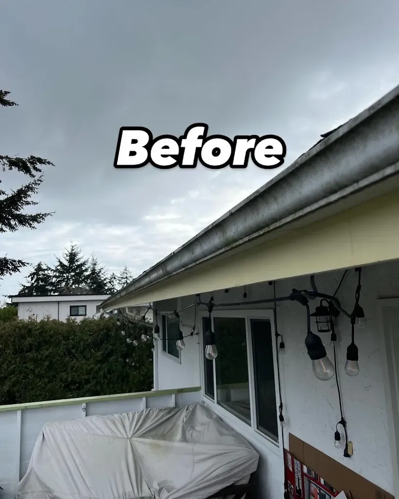 Before gutter cleaning: moss and dark buildup along the length of a gutter run
