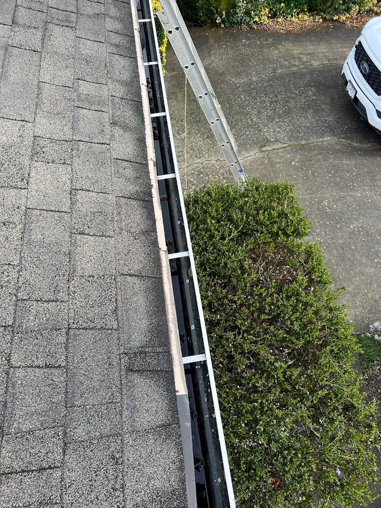 A ladder set against a cleared gutter run above a driveway