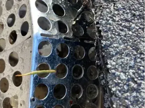 A fir needle sitting on top of a perforated gutter guard at the roof edge