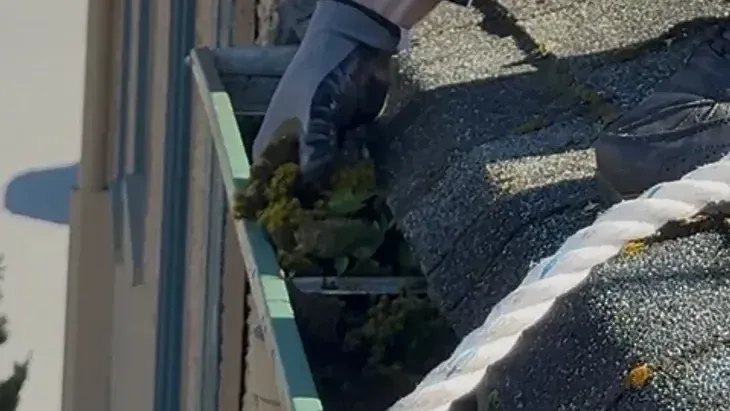 Gloved hand clearing weeds from a gutter run, rope lying on the shingles