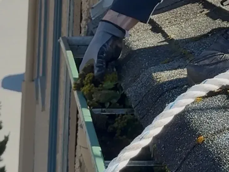 A gloved hand pulling moss and weeds out of a gutter, a safety line running across the shingles