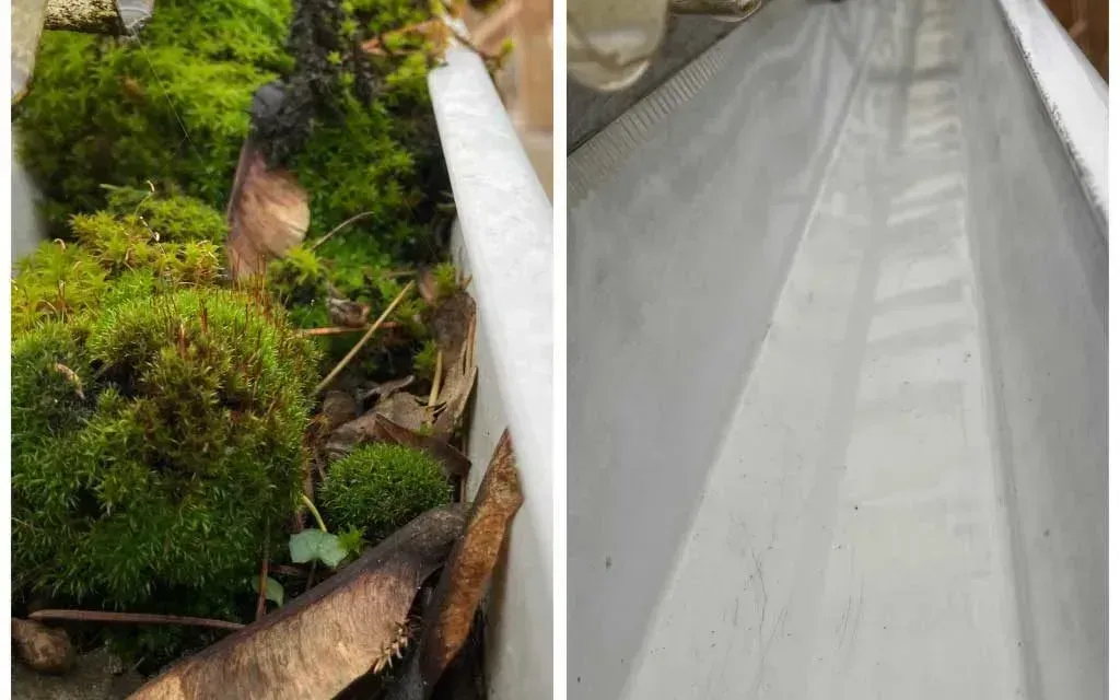 Before and after: an eavestrough choked with moss and debris, then cleared