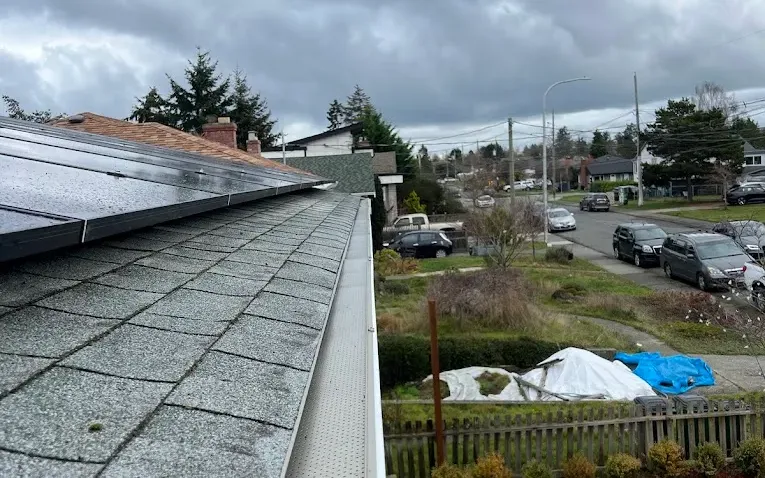 A perforated gutter guard fitted along a gutter run beside rooftop solar panels