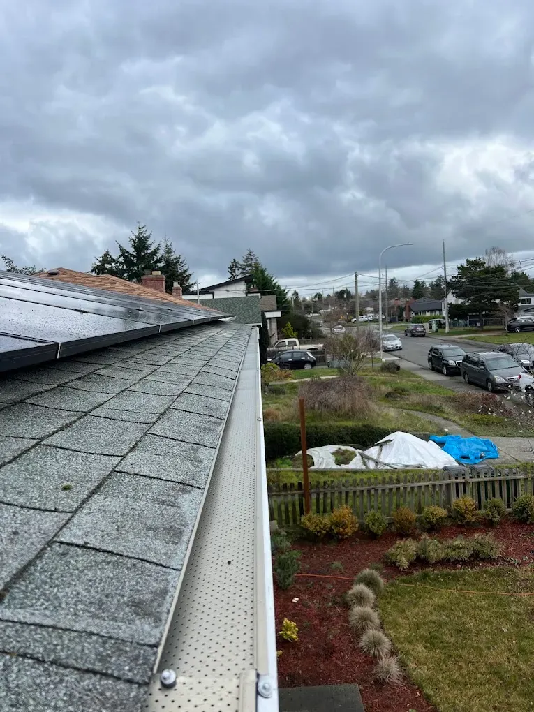 A perforated gutter guard fitted along a gutter run on a Saanich home