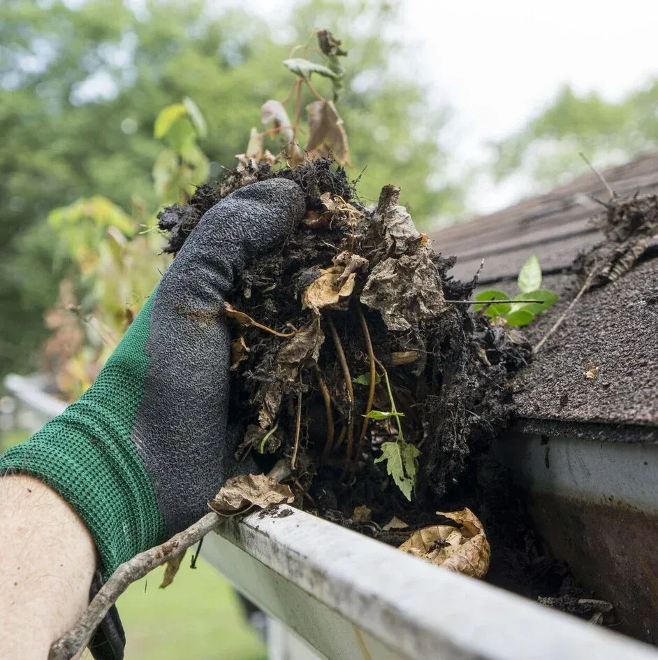 A gloved hand lifting a heavy mat of wet leaves and debris out of a gutter